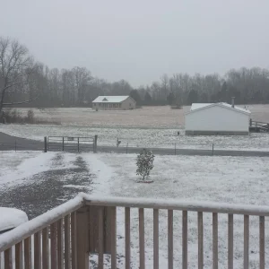 French Toast Weather