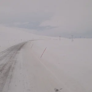 Saltfjellet, at the Arctic Circle, Norway